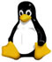 Servidor web linux